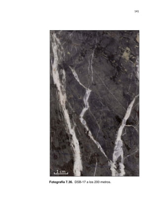 141
Fotografía 7.36. DSB-17 a los 200 metros.
 