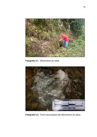44
Fotografía 5.1. Afloramiento de caliza.
Fotografía 5.2. Toma macroscópica del afloramiento de caliza.
 