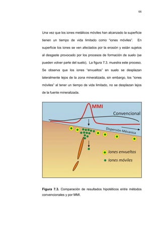 66
Una vez que los iones metálicos móviles han alcanzado la superficie
tienen un tiempo de vida limitado como “iones móviles”. En
superficie los iones se ven afectados por la erosión y están sujetos
al desgaste provocado por los procesos de formación de suelo (se
pueden volver parte del suelo). La figura 7.3. muestra este proceso.
Se observa que los iones “envueltos” en suelo se desplazan
lateralmente lejos de la zona mineralizada, sin embargo, los “iones
móviles” al tener un tiempo de vida limitado, no se desplazan lejos
de la fuente mineralizada.
Figura 7.3. Comparación de resultados hipotéticos entre métodos
convencionales y por MMI.
 