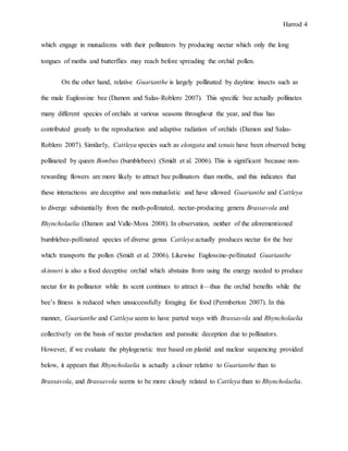 Harrod 4
which engage in mutualisms with their pollinators by producing nectar which only the long
tongues of moths and butterflies may reach before spreading the orchid pollen.
On the other hand, relative Guarianthe is largely pollinated by daytime insects such as
the male Euglossine bee (Damon and Salas-Roblero 2007). This specific bee actually pollinates
many different species of orchids at various seasons throughout the year, and thus has
contributed greatly to the reproduction and adaptive radiation of orchids (Damon and Salas-
Roblero 2007). Similarly, Cattleya species such as elongata and tenuis have been observed being
pollinated by queen Bombus (bumblebees) (Smidt et al. 2006). This is significant because non-
rewarding flowers are more likely to attract bee pollinators than moths, and this indicates that
these interactions are deceptive and non-mutualistic and have allowed Guarianthe and Cattleya
to diverge substantially from the moth-pollinated, nectar-producing genera Brassavola and
Rhyncholaelia (Damon and Valle-Mora 2008). In observation, neither of the aforementioned
bumblebee-pollinated species of diverse genus Cattleya actually produces nectar for the bee
which transports the pollen (Smidt et al. 2006). Likewise Euglossine-pollinated Guarianthe
skinneri is also a food deceptive orchid which abstains from using the energy needed to produce
nectar for its pollinator while its scent continues to attract it—thus the orchid benefits while the
bee’s fitness is reduced when unsuccessfully foraging for food (Permberton 2007). In this
manner, Guarianthe and Cattleya seem to have parted ways with Brassavola and Rhyncholaelia
collectively on the basis of nectar production and parasitic deception due to pollinators.
However, if we evaluate the phylogenetic tree based on plastid and nuclear sequencing provided
below, it appears that Rhyncholaelia is actually a closer relative to Guarianthe than to
Brassavola, and Brassavola seems to be more closely related to Cattleya than to Rhyncholaelia.
 