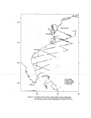 NMFS_61_1998_Marine_Mammal_Survey