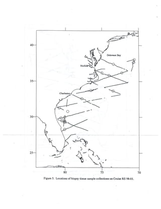 NMFS_61_1998_Marine_Mammal_Survey