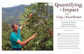 September | October 2015 55
TechnoServe Report
Details Outcomes
in Brazil and Honduras
by Emily McIntyre
continued on page 56
2015 Brazil Naturals COE winner Sebastião Afonso da Silva on his farm, Sítio Baixadão, in the Minas Gerais region. | photo courtesy of the Brazil Specialty Coffee Association
Impact
Cup of Excellence
the
of the
A
fter 15 years and more than 100 contests, the Cup of Excellence
(COE) specialty coffee competition has had a sweeping impact
that reaches beyond the producer participants to fuel economic growth
and develop the specialty coffee industry in host countries. A recent
study by TechnoServe, a global nonprofit that creates business solutions
to address poverty, surveyed the impact COE has had on two partner
countries—Brazil and Honduras. The study found that COE has created
an immense value for both countries: $137 million in Brazil and $25
million in Honduras in total benefits, including benefits related to
auction sales, increased direct trade and boosted specialty coffee trade.
Quantifying
 