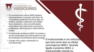 • Os carcinomas de mama HER2 positivos
superexpressam o receptor para fator de
crescimento epidérmico humano tipo 2 (c-
erbB-2), também conhecido como HER2.
Esses receptores, uma vez estimulados
pelos fatores de crescimento, promovem
proliferação, diferenciação e sobrevivência
celular.
• O tratamento da doença HER2 (+) envolve o
uso de medicações que interrompem as vias
de sinalização intracelulares desse receptor.
• A droga mais usada e conhecida é o
transtuzumabe
• O trastuzumabe é um anticorpo
que tem como alvo as células
cancerígenas HER2+. Quando
ligado à proteína HER2, o
trastuzumabe retarda ou
 