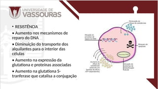 • RESISTÊNCIA
• Aumento nos mecanismos de
reparo do DNA
• Diminuição do transporte dos
alquilantes para o interior das
células
• Aumento na expressão da
glutationa e proteínas associadas
• Aumento na glutationa S-
tranferase que catalisa a conjugação
 