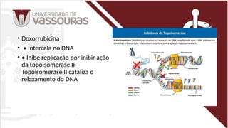 • Doxorrubicina
• • Intercala no DNA
• • Inibe replicação por inibir ação
da topoisomerase II –
Topoisomerase II cataliza o
relaxamento do DNA
 