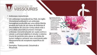• Anticorpos monoclonais
• Um anticorpo monoclonal (ou Mab, do inglês
Monoclonal antibody) é um anticorpo
homogêneo produzido por uma célula híbrida
produto da fusão de um clone de linfócitos B
descendente de uma só e única célula mãe e
uma célula plasmática tumoral. A terapia
anticorpo monoclonal pode ser usada contra o
câncer, o principal objetivo é simular o sistema
imune do paciente para atacar as células do
tumor maligno e prevenir seu crescimento pelo
bloqueamento de receptores específicos da
célula.
• Exemplos: Trastuzumab, Cetuximab e
Rituximab.
 