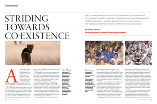 24 PEOLWANE MARCH 2015 PEOLWANE MARCH 2015 25
CONSERVATION
With a current outreach of over 15 000 schoolchildren, 500 teachers and
5 000 farmers, Cheetah Conservation Botswana works in virtually all realms of
wildlife conservation – research, education and community projects.
The highly successful NGO marked its tenth anniversary late last year.
By Thabang Kololo
Photos courtesy of Cheetah Conservation Botswana
STRIDING
TOWARDS
CO-EXISTENCE
A
frica is home to many
predators, but none
is more elegant – and
enigmatic – than the
cheetah. Endowed
with a sleek, slender
body and acceleration
abilities that have been
scientifically proven
to exceed that of most
speeding automobiles, cheetahs possess a certain
mystique and beauty surpassed by few other animals
on the continent.
The coat is of tan colouration with black, oval spots
throughout, whilst the throat and abdomen are white.
The long tail, which acts as a kind of rudder when the
animal is running at high speeds, has four to six black
rings, and a white, bushy tuft at the tip.
The head is small in comparison to the size of its
body. Eyes are set high, with black streaks running
from the inner aspect of each eye down to the cat’s
mouth. These ‘tear marks’ give some protection from
the glare of the sun.
The cheetah is Earth’s fastest land mammal and
can exceed speeds of up to 120 k/p/h. However, it
can only maintain such high speeds in short spurts,
after which time it quickly tires. Seeing a cheetah in
the bush running at top speed, in pursuit of one of its
favoured prey – often impala or warthog – is surely
one of the safari thrills of a lifetime.
Although often a brilliant, arresting sight to
behold, cheetah with territories in, or bordering,
farmland, can choose an easy kill – goats, sheep or
other small domestic animals, thus creating a situation
of human/wildlife conflict. It is this potentially lethal
factor that makes communities who share their land
with the cheetah often harbour antagonistic and/
or fearful attitudes towards them; and this can lead
to the killing of cheetahs seen in proximity of farms,
or retaliatory killings of cheetahs that have actually
preyed on domestic farm animals.
Human/wildlife conflict is on the rise in most
areas of Botswana, for many species, not only
carnivores. It is caused principally by expanding
human populations, human encroachment on wildlife
areas and loss of wildlife habitat. Cheetahs are often
killed or persecuted because they are perceived to be a
threat to livestock, even though they cause relatively
little damage. However, with increased awareness and
improved management practices, this conflict can
be reduced.
Cheetah Conservation Botswana (CCB), recently
celebrating its tenth anniversary, was established
precisely in response to this situation – to deal
with escalating human/cheetah conflict and the
worrying decline in cheetah numbers in Botswana.
The programme is multi-pronged, carrying out
vital research, education, community outreach
programmes, and – crucially – working with farmers,
to educate them about the importance of cheetah
conservation and to create more effective means of
managing and caring for their domestic animals.
Speaking at CCB’s ten year anniversary cocktail,
held late last year at Thapong Visual Arts Centre,
Gaborone,  Mr. Tiroyame Mmereki, a farmer with
35 years of field experience, addressed the matter of
human/cheetah conflict, demonstrating a clear and
progressive attitude towards predator conservation
and Batswana’s responsibility to find ways to live side-
by-side with them. “Modern farming is a business, so
we farmers have to deal with any predator, including
cheetah, which can harm our livelihood,” he said.
Like other farmers in Botswana, Mmereki said
he works with CCB to better understand the habits
and behaviour of cheetahs, to develop more effective
ways of caring for and protecting his livestock, and
to reduce widespread persecution of these beautiful
carnivores.
Ms. Rebecca Klein, a founder and current director
of CCB, also speaking at the cocktail, said: “The
options are conflict or coexistence. Coexistence
is not possible without first understanding and
implementing effective methods and techniques for
avoiding or minimising conflict. CCB believes that by
above, left:
Students holding
educational
pamphlets at
CCB’s first school
outreach.
above, right:
Participating in
the CCB 2014
art competition,
Ghanzi Senior
Secondary School
student Tumisang
Tshekelo drew
an outstanding
picture of a lion
cub.
above, left: A
collared cheetah
in its natural
habitat; tracking
gathers data on
the cheetah’s
home ranges,
behaviour and
the effects of
translocation,
disease and
genetic status.
Anthony English,
director of
Freedom Won
South Africa; Mr.
Jonathan Gibson,
CEO of Chobe
Holdings.
 