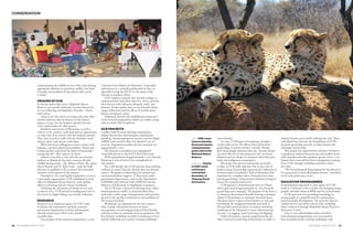 26 PEOLWANE MARCH 2015 PEOLWANE MARCH 2015 27
CONSERVATION
above: CCB’s most
famous cheetahs,
Duma and Letotse,
resting between
guest visits at the
Mokolodi Nature
Reserve.
facing page: Guests
at CCB’s tenth
anniversary
cocktail last
December, at
Thapong Visual
Arts Centre.
understanding the wildlife we live with, and utilising
appropriate solutions to minimise conflict, the hope
of people and predators living side-by-side can be
a reality.”
ORIGINS OF CCB
In the late 1990s and 2000s, Mokolodi Nature
Reserve, just outside Gaborone, became famous for
its two endearing and legendary cheetahs – Duma
and Letotse.
Taken in by the reserve as young cubs, after their
mother had been shot by farmers in the Ghanzi
region, in 1995, the two brothers quickly became
iconic ambassadors for their species.
Residents and citizens of Botswana, as well as
visitors to the country, rarely had such an opportunity
to come into close contact with this majestic animal.
They were invited to walk with the cheetahs, touch
and pet them, and interact with them.
With their keen willingness to have contact with
humans, and their playful personalities, Duma and
Letotse quickly captivated the hearts of thousands –
young and old – who came to see them.
Indeed it was after a visit with the two cheetah
brothers at Mokolodi that three women, all with
wildlife backgrounds – Ms. Rebecca Klein, Ms. Anne-
Marie Houser and Dr. Kyle Good – took the bold
decision to establish CCB, to ensure the continued
existence of the species in the country.
Founded in 2003 and legally registered in 2004 as
a non-profit organisation, CCB established its head
office in Mokolodi Nature Reserve, with satellite
offices in Jwaneng and the Ghanzi farmlands.
Following the sad demise of Duma in 2011 and
Letotse in 2012, CCB moved its headquarters out of
the reserve to Kgale Siding, just outside Gaborone.
RESEARCH
Research is an important aspect of CCB’s work;
it informs the community and feeds national
government departments and the international
cheetah conservation effort with valuable
scientific data.
One product of the research programme is a new
‘Cheetah Status Report for Botswana’. It provides
information to a scientific publication by the Cat
Specialist Group for IUCN on the status of the
cheetah in southern Africa.
CCB conducts research into cheetah ecology, to
understand how and where they live, move, and how
they interact with wild prey, domestic stock, and
humans. Studies gather data on the cheetah’s home
ranges, behaviour and the effects of translocation,
disease and genetic status.
Orphaned cheetah cub rehabilitation forms part
of the research programme, which can enable young
cubs to avoid a life of captivity.
CCB PROJECTS
Conflict with livestock farming communities,
habitat destruction, declining prey populations,
poaching, human population increase and the illegal
wildlife trade severely affect the cheetah’s rate of
survival. Population numbers for the continent are
approximately 7 500.
The cheetah is classified as an endangered/
vulnerable species in the IUCN Red Data book.
With a population of approximately 2 000 cheetah,
Botswana is one of Africa’s last strongholds for
this animal.
For a full decade, the CCB team has been working
tirelessly to ensure that the cheetah does not become
extinct. The project is dependent on national and
international donor support. CCB partners with
government departments, such as the Department
of Wildlife and National Parks (DWNP) and the
Ministry of Education, to implement its projects.
The CCB team is located in farming areas, where
human/predator conflict is most prevalent; they
undertake a wide range of programmes and activities
geared to the specific circumstances and problems of
the farmers involved.
Workshops are organised all over the country;
these include informative lectures on farm
management, maximising grazing and herd health,
and how to farm to minimise losses to predators. The
first farmers’ workshop was held in Jwaneng in 2005;
and the following year, teacher training workshops
were initiated.
 In 2010, CCB began investigating, through a
nation-wide survey, the effectiveness of livestock
guard dogs, to protect farmers’ animals. Results
have interestingly indicated that the ‘Tswana’ breeds
are most effective in this protective role, are better
behaved and are cheaper to maintain than their pure
bred, non-indigenous counterparts.
The project has proven enormously successful
to date. A CCB study indicates that 97 per cent of
farmers using Tswana dogs experienced a reduction in
livestock losses to predators. Half of all farmers had
experienced a complete end to livestock losses since
getting guard dogs. (Some farmers had been losing in
excess of 20 animals each year.)
CCB operates a demonstration farm in Ghanzi
with a goat herd of approximately 62, two livestock
guard dogs and a manager. The purpose of the farm is
to showcase the predator-friendly farming techniques
which CCB promotes to minimise livestock losses.
The demo farm is open to local farmers to visit and
benchmark the mitigation methods practised. It
also provides practical advice to farmers attending
workshops at the Education Centre, administering
vaccines, ear tagging, hoof trimming and dipping.
Under this project, annual competitions for the
‘Best Livestock Guard Dog in Botswana’ are held, to
identify farmers successfully utilising this tool. These
individuals have become the foundations of CCB’s
livestock guard dog network, to help promote the
technique nation-wide.  
This project has improved the tolerance of farmers
to predators, reduced livestock loss and conflict levels
with cheetahs and other predator species. Over 5 000
farmers have received free farm management training
from CCB, through workshops and direct farm
site visits.
“The livestock guard dog programme has proven to
be a great tool to ward off predator threats,” said Klein
at the 10th anniversary event.
EDUCATION PROGRAMMES
Environmental education is a key aspect of CCB’s
work; it is believed to be a catalyst for changing young
people’s attitudes about wildlife and the environment.
CCB maintains that providing knowledge to
young people is a powerful tool for conservation
and sustainable development. The team has thus far
conducted over 500 direct school visits, including
those conducted through Mokolodi Nature Reserve’s
Education Centre.
Over 15 000 schoolchildren have attended
such education programmes; over 500 teachers
have attended teacher training workshops; and
 