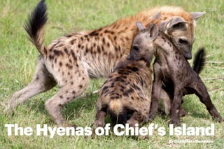 42 PEOLWANE MARCH 2015 PEOLWANE MARCH 2015 43
CULTURE
The Hyenas of Chief’s IslandBy Onalethata Basimane
PHOTO ESSAY
 