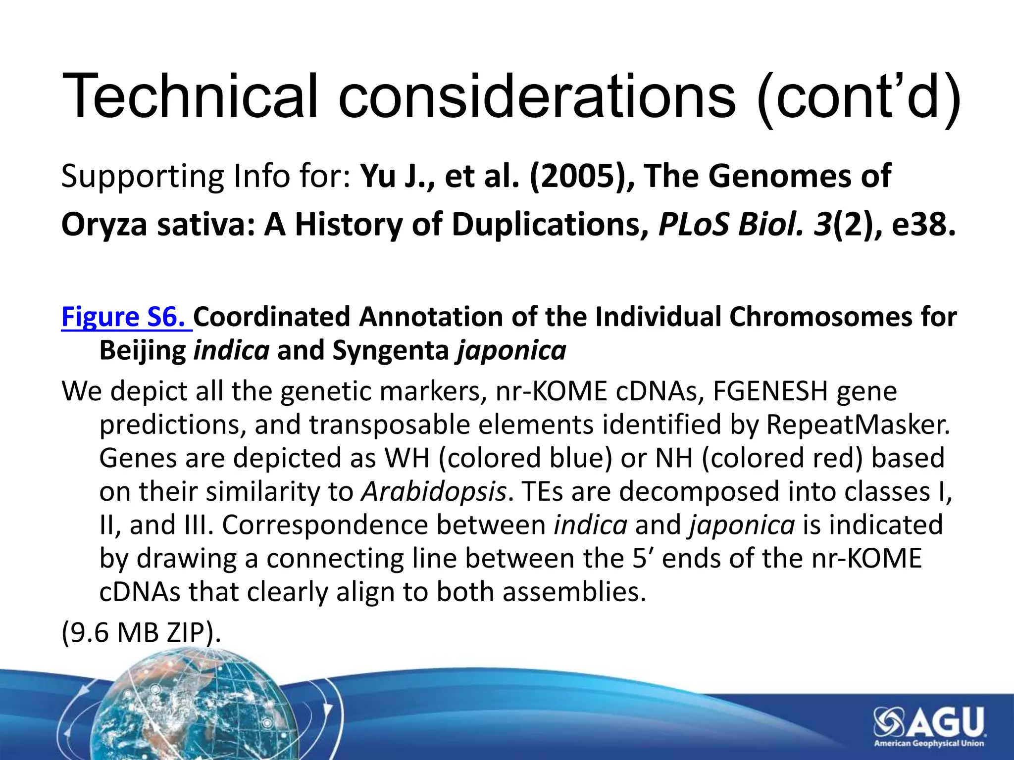 Technical considerations (cont’d)
Supporting Info for: Yu J., et al. (2005), The Genomes of
Oryza sativa: A History of Duplications, PLoS Biol. 3(2), e38.
Figure S6. Coordinated Annotation of the Individual Chromosomes for
Beijing indica and Syngenta japonica
We depict all the genetic markers, nr-KOME cDNAs, FGENESH gene
predictions, and transposable elements identified by RepeatMasker.
Genes are depicted as WH (colored blue) or NH (colored red) based
on their similarity to Arabidopsis. TEs are decomposed into classes I,
II, and III. Correspondence between indica and japonica is indicated
by drawing a connecting line between the 5′ ends of the nr-KOME
cDNAs that clearly align to both assemblies.
(9.6 MB ZIP).
 