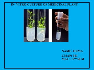 IN- VITRO CULTURE OF MEDICINAL PLANT
NAME: HEMA
CMAP: 301
M.SC : 3RD SEM
 