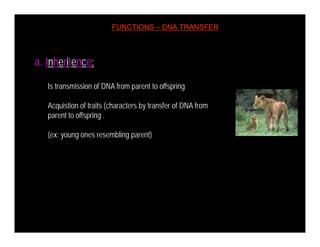 Properties_of_Life.pdf