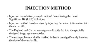 Lsb Injectable Label SEMINAR ON staganography | PPTX