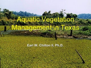 Aquatic Vegetation 
Management in Texas 
EEaarrll WW.. CChhiillttoonn IIII,, PPhh..DD.. 
 