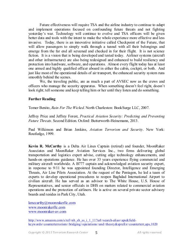 Aviation security essay 08 image