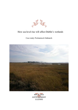 How sea level rise will affect Dublin’s wetlands
Case study: Portmarnock Saltmarsh
MAY 8, 2015
JUSTIN DONAGHY
11125993
 