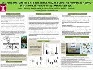 Environmental Effects on Population Density and Carbonic Anhydrase Activity
in Cultured Zooxanthellae (Symbiodinium sp.)
Roni Devassy, Amy Parekh, Erin Graham, and Dr. Robert Sanders
Temple University, Philadelphia, PA
Introduction
Tropical marine waters are generally nutrient poor. In order to fulfill daily nutrient
requirements, many marine invertebrates have developed a symbiotic relationship
with zooxanthellae, photosynthetic dinoflagellates of the genus Symbiodinium.
Zooxanthellae use dissolved inorganic carbon (DIC) and sunlight to perform
photosynthesis and translocate photosynthetic product to their hosts. In exchange
for the fixed carbon (sugars) produced by zooxanthellae, the invertebrate host
provides zooxanthellae protection and nutrients such as nitrogen and phosphorus
(Muscatine et al., 1984).
Zooxanthellae fix carbon dioxide (CO2) via the Calvin Cycle, yet CO2 composes only
0.5% of the total DIC supply in seawater. To acquire sufficient CO2 for zooxanthellae
photosynthesis, the invertebrate host takes up seawater bicarbonate (HCO3-) and
converts it to CO2 via the enzyme carbonic anhydrase (CA). Free-living Symbiodinium
may acquire CO2 directly from seawater by passive diffusion or active uptake using a
CO2 transporter, however, evidence shows that independent Symbiodinium rely as
well on uptake of HCO3-, the dominant species in seawater (Leggat et al., 1999), and
Symbiodinium have both internal and external CA enzyme (Al-Moghrabi et al., 1996).
In addition, recent evidence suggests that the primary method of CO2 acquisition by
Symbiodinium may be phylotype-dependent (Brading et al., 2011). Biotic factors such
as pCO2 and temperature may further affect DIC uptake. In this study, we investigated
and compared the varying degrees of tolerance to thermal stress seen in cultured
Symbiodinium representing clades A, B, D, and F.
References
Acknowledgements
Methods
Results
Summary of Results and Conclusions
Special thanks to Dr. Scott A. Fay and Dr. Mary Alice Coffroth for providing Symbiodinium
cultures. Thanks are also in order to Sarah DeVaul, Zaid McKie-Krisberg, and Grier Sellers for
support in various capacities throughout the year.
Figure 1 (top left): Zooxanthellae use carbonic anhydrase to obtain sufficient CO2 for
photosynthesis. In the animal, carbonic anhydrase is found in all three germ layers, essential for
maximum DIC uptake(Photo credit: Furla 2005). Figure 2 (top right): Plexaura kuna, an octocoral
species, and associated Symbiodinium comprise the model system used by Dr. Mary Alice Coffroth
to study the origin of cnidarian-algal symbioses (Photo Credit: Smithsonian Tropical Research
Institute). Figure 3 (bottom right): Porites divaricata is a coral species typically found in shallow
tropical waters. P. divaricata has a characteristic wide branching arrangement in its structure
(Photo Credit: Coralpedia).
Cultures of Symbiodinium clade A isolated from Cassiopeia xamachana (Cx) and an unknown invertebrate
species (Symbio A), clade B isolated from Plexaura kuna (13), clade D isolated from Porites divaricata
(Pdiv), and clade F isolated from Montipora verrucosa (Mv), were obtained from BURR Cultures (Buffalo,
NY). Cell cultures lines were established by combining 500µl aliquots from parent cultures with 25ml
artificial seawater (ASW-32) with F/2 culture medium. After zooxanthellae underwent a two week growth
period, cultures were secured in three glass aquaria containing deionized water heated to 25˚C, 29˚C, and
33˚C, respectively, using aquarium heaters. Cultures were grown for two months under cool fluorescent
lighting on a 12:12 light:dark cycle prior to sampling.
Samples were prepared by withdrawing 6ml of culture into a centrifuge tube, centrifuging the sample for 8
minutes at 4000rpm, removing the supernatant through decanting, and resuspension of cells in 3.5ml DI
water. After glass beads were added to each tube, each sample was vortexed. Sonication on ice for five-
30 second periods was performed to break open the Symbiodinium cells and release carbonic anhydrase.
After sonication, 1500µl of the mixture was set aside for assays. The remaining culture extraction was
boiled for 5 minutes at 101˚C to denature the enzyme. Chilled veronal buffer was added in an equivalent
amount to both the active and boiled enzyme fractions. Fractions were vortexed and divided into three
vials (1 mL buffered mixture each). Each vial was then diluted with an additional 1mL chilled veronal
buffer. Samples were placed on ice until the assay.
For each assay, buffered lysed algal cells were equipped with a calibrated, temperature-sensitive pH meter
and magnetic stir bar. Once the temperature of the sample reached 13.5-14˚C, an initial pH value was
recorded and 1 mL of CO2-enriched water (pH 3.5) was injected into the sample. PH values were recorded
every 10 seconds for two minutes. The mean ΔpH of the three denatured samples was subtracted from
the mean ΔpH of the three active samples to obtain carbonic anhydrase activity, which was normalized to
algal cell population density.
To determine Symbiodinium population density, 200µl of culture sample and 1200µl ASW were placed into
a Phycotech Settling Chamber observed at 1000X magnification. Cell population density was calculated
using the average number of cells per approximately 80 grids for each sample and applying the
appropriate dilution factor.
Al-Moghrabi, S., C. G Oiran, D. Allemand, N. Speziale, and J. Jaubert. 1996. Inorganic carbon uptake for photosynthesis
by the symbiotic coral-dinoflagellate association II. Mechanisms for bicarbonate uptake. J. Exp. Mar. Biol. Ecol. 199: 227–248.
Brading, P., M. E. Warner, P. Davey, D. J. Smith, E. P. Achterberg, and D. J. Suggetta. 2011. Differential effects of ocean acidification on growth
and photosynthesis among phylotypes of Symbiodinium (Dinophyceae). Limnol. Oceanogr., 56(3): 927–938.
Furla, P., D. Allemand, J.M. Shick, C. Ferrier-Pages, S. Richier, A. Plantivaux, P.L. Merle, and S. Tambutte. 2005. The symbiotic anthozoan: A
physiological chimera between alga and animal. Integr. Comp. Biol. 45: 595-604.
Leggat, W., M. Badger, and D. Yellowlees. 1999. Evidence for an inorganic carbon-concentrating mechanism in the symbiotic dinoflagellate
Symbiodinium sp. Plant Physiol 121: 1247–1255.
Muscatine, L., Falkowski, P., J. Porter and Z. Dubinsky, Z. 1984. Fate of photosynthetically fixed carbon in light and shade adapted colonies of the
symbiotic coral Stylophora pistillata. Proceedings of the Royal Society of London Ser B. 222: 181-202.
Plexaura kuna. Smithsonian Tropical Research Institute. 12 March 2008 <http://biogeodb.stri.si.edu/bioinformatics>.
Porites divaricata. Coralpedia. 25 April 2012 <http://coralpedia.bio.warwick.ac.uk/en/corals/porites_divaricata.html>.
Carbonic Anhydrase Activity
•Carbonic anhydrase activity increased in clade D (Pdiv) as temperature increased. This suggests
that clade D Symbiodinium are well adapted to take up DIC in a warmer environment.
•Carbonic anhydrase activity greatly decreases at 33˚ C in clade A (Symbio A) and was
completely eliminated in clades B (13) and the Cx culture (clade A), indicating that these
Symbiodinium clades have a thermal tolerance limit below 33˚ C.
•CA activity for clade F (Mv) dropped significantly from the room temperature treatment, yet
CA activity was still able to be detected at the highest temperature.
•Clade D (Pdiv) relies more on CA for DIC uptake than the other clades investigated in this
study.
Symbiodinium Population Density
•Both clade F (Mv) and clade B (13) increased in population density across all temperature
treatments. The greatest increase was at 29˚ C, suggesting that this is their optimal
temperature.
•Clade D (Pdiv) experienced the same decline in population density across all temperature
treatments, suggesting that an increase in water temperatures has a minimal effect on clade D
(Pdiv). The population decline must have been due to the nutrient composition of the culture
media or overpopulation of the cultures.
•Different responses among clade A cultures (Cx and Symbio A) make it difficult to generalize a
clade response. Both cultures had large decreases in population at 29˚ C and 33˚ C, which
shows that clade A is more sensitive to high temperatures than the other clades studied.
Our results show that different clades of free-living Symbiodinium have varied tolerance to thermal
stress. Future studies will look into the extent to which different Symbiodinium species can maintain
essential functioning in response to rising aquatic pCO2 levels, which is a component of global
warming.
Future Directions
Figure 4 (top right graph): Carbonic
anhydrase activity per cell in four
Symbiodinium clades at different
temperatures. Bars represent means of five
replicates with standard error. Figures 5 and
6 (bottom graphs): Percent change in
population density for four clades of
Symbiodinium at different temperatures
grouped by temperature (left) and clade
(right). Bars represent means of five
replicates.
Note: No living cells were present in 13 and CX
cultures after 2 months in treatment.
Figure 7 (left):
Experimental set-up
consisted of culture
flasks maintained at
each temperature
treatment. Cells
were exposed to
the treatments for 2
months.
Figure 8 (right):
Typical
Symbiodinium cell
diameter appeared
to range between 5
to 10 µm (1000X).
 