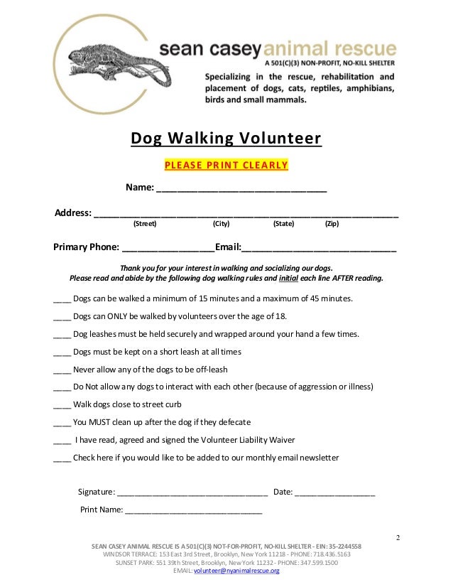 Dog Walking Volunteer York Dog Walking Volunteer York