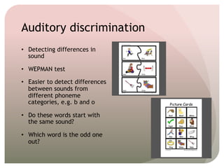 Auditory perception | PDF