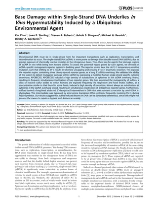 Base Damage within Single-Strand DNA Underlies In
Vivo Hypermutability Induced by a Ubiquitous
Environmental Agent
Kin Chan1
, Joan F. Sterling1
, Steven A. Roberts1
, Ashok S. Bhagwat2
, Michael A. Resnick1
,
Dmitry A. Gordenin1
*
1 Chromosome Stability Section, Laboratory of Molecular Genetics, National Institute of Environmental Health Sciences, National Institutes of Health, Research Triangle
Park, North Carolina, United States of America, 2 Department of Chemistry, Wayne State University, Detroit, Michigan, United States of America
Abstract
Chromosomal DNA must be in single-strand form for important transactions such as replication, transcription, and
recombination to occur. The single-strand DNA (ssDNA) is more prone to damage than double-strand DNA (dsDNA), due to
greater exposure of chemically reactive moieties in the nitrogenous bases. Thus, there can be agents that damage regions
of ssDNA in vivo while being inert toward dsDNA. To assess the potential hazard posed by such agents, we devised an
ssDNA–specific mutagenesis reporter system in budding yeast. The reporter strains bear the cdc13-1 temperature-sensitive
mutation, such that shifting to 37uC results in telomere uncapping and ensuing 59 to 39 enzymatic resection. This exposes
the reporter region, containing three closely-spaced reporter genes, as a long 39 ssDNA overhang. We validated the ability
of the system to detect mutagenic damage within ssDNA by expressing a modified human single-strand specific cytosine
deaminase, APOBEC3G. APOBEC3G induced a high density of substitutions at cytosines in the ssDNA overhang strand,
resulting in frequent, simultaneous inactivation of two reporter genes. We then examined the mutagenicity of sulfites, a
class of reactive sulfur oxides to which humans are exposed frequently via respiration and food intake. Sulfites, at a
concentration similar to that found in some foods, induced a high density of mutations, almost always as substitutions at
cytosines in the ssDNA overhang strand, resulting in simultaneous inactivation of at least two reporter genes. Furthermore,
sulfites formed a long-lived adducted 29-deoxyuracil intermediate in DNA that was resistant to excision by uracil–DNA N-
glycosylase. This intermediate was bypassed by error-prone translesion DNA synthesis, frequently involving Pol f, during
repair synthesis. Our results suggest that sulfite-induced lesions in DNA can be particularly deleterious, since cells might not
possess the means to repair or bypass such lesions accurately.
Citation: Chan K, Sterling JF, Roberts SA, Bhagwat AS, Resnick MA, et al. (2012) Base Damage within Single-Strand DNA Underlies In Vivo Hypermutability Induced
by a Ubiquitous Environmental Agent. PLoS Genet 8(12): e1003149. doi:10.1371/journal.pgen.1003149
Editor: Sue Jinks-Robertson, Duke University, United States of America
Received September 12, 2012; Accepted October 20, 2012; Published December 13, 2012
This is an open-access article, free of all copyright, and may be freely reproduced, distributed, transmitted, modified, built upon, or otherwise used by anyone for
any lawful purpose. The work is made available under the Creative Commons CC0 public domain dedication.
Funding: This work was supported by the Intramural Research Program of the NIEHS (NIH, DHHS) project ES065073 to MAR. The funders had no role in study
design, data collection and analysis, decision to publish, or preparation of the manuscript.
Competing Interests: The authors have declared that no competing interests exist.
* E-mail: gordenin@niehs.nih.gov
Introduction
The genetic information of cellular organisms is encoded within
double-strand DNA (dsDNA) genomes. Yet during DNA transac-
tions such as replication, transcription, or recombination, the
DNA exists transiently in single-strand form. It has long been
appreciated that moieties in the nitrogenous bases of DNA are
susceptible to damage, from both endogenous and exogenous
sources, and that the double helical duplex structure can protect
such moieties from chemical attack, due to Watson-Crick base
pairing as well as base stacking [1]. Conversely, single-strand DNA
(ssDNA) is significantly more vulnerable to various forms of
chemical modification. For example, spontaneous deamination of
cytosine to uracil occurs at least 100-fold more rapidly in ssDNA
than in dsDNA [1]. Similarly, the alkylation of either N1 in
adenine or N3 in cytosine, each of which would result in lesions
that block replication, occurs much more readily in ssDNA [2].
Spontaneous depurination and depyrimidination each occurs four-
fold more rapidly in ssDNA than in dsDNA [3]. In addition, it has
been shown that transcription of DNA is associated with increased
frequency of mutation and recombination, possibly due in part to
the increased susceptibility of transient ssDNA (of the non-coding
strand) to endogenous DNA damage [4]. Finally, lesions formed in
transient ssDNA during genome replication [5] likely would have
to be bypassed by translesion synthesis (TLS), which can be error-
prone, i.e. mutagenic [6,7]. Thus, regions of ssDNA are expected
to be at greater risk of damage than dsDNA in vivo, since there
could be many agents that are not reactive against dsDNA, but are
reactive enough to damage ssDNA.
Indeed, we showed previously that regions of ssDNA formed by
resection at double-strand breaks (DSBs) [5,6] or uncapped
telomeres [6,7], as well as ssDNA within dysfunctional replication
forks [5], were prone to increased mutagenesis. Damage-induced
mutagenesis in such ssDNA can lead to the formation of clusters of
multiple simultaneous mutations, with a mutation density compa-
rable to the expected density of induced DNA lesions. For
instance, methylmethanesulfonate (MMS)-induced clusters of
multiple point mutations originated from methylated bases within
PLOS Genetics | www.plosgenetics.org 1 December 2012 | Volume 8 | Issue 12 | e1003149
 