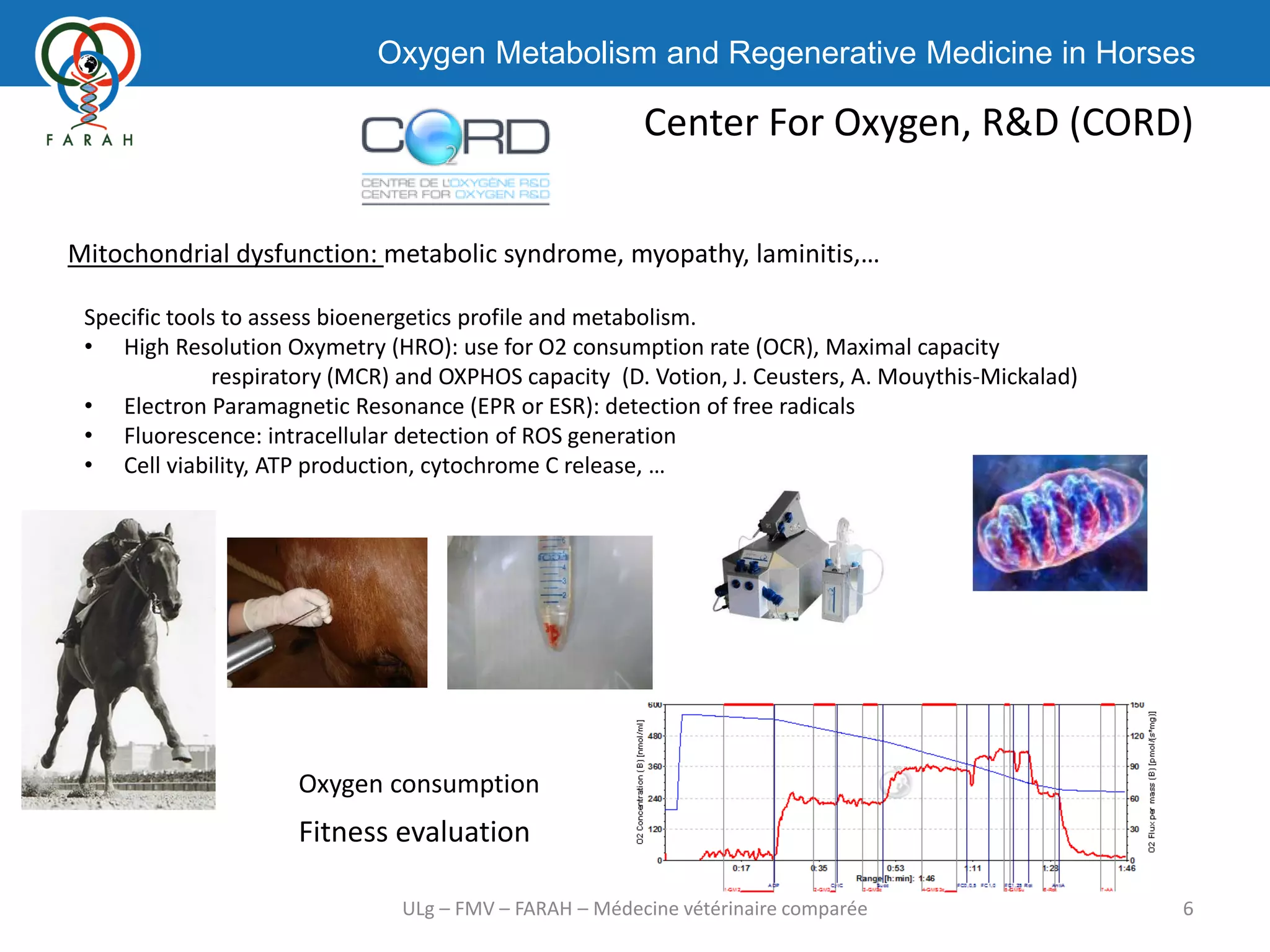 Oxygen Metabolism and Regenerative Medicine in Horses
Center For Oxygen, R&D (CORD)
6ULg – FMV – FARAH – Médecine vétérinaire comparée
Mitochondrial dysfunction: metabolic syndrome, myopathy, laminitis,…
Specific tools to assess bioenergetics profile and metabolism.
• High Resolution Oxymetry (HRO): use for O2 consumption rate (OCR), Maximal capacity
respiratory (MCR) and OXPHOS capacity (D. Votion, J. Ceusters, A. Mouythis-Mickalad)
• Electron Paramagnetic Resonance (EPR or ESR): detection of free radicals
• Fluorescence: intracellular detection of ROS generation
• Cell viability, ATP production, cytochrome C release, …
Oxygen consumption
Fitness evaluation
 