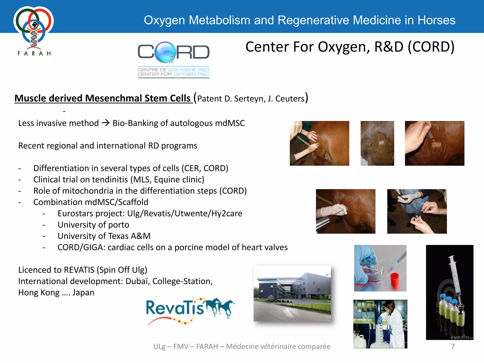 Oxygen Metabolism and Regenerative Medicine in Horses
Center For Oxygen, R&D (CORD)
7ULg – FMV – FARAH – Médecine vétérinaire comparée
Muscle derived Mesenchmal Stem Cells (Patent D. Serteyn, J. Ceuters)
-
Less invasive method  Bio-Banking of autologous mdMSC
Recent regional and international RD programs
- Differentiation in several types of cells (CER, CORD)
- Clinical trial on tendinitis (MLS, Equine clinic)
- Role of mitochondria in the differentiation steps (CORD)
- Combination mdMSC/Scaffold
- Eurostars project: Ulg/Revatis/Utwente/Hy2care
- University of porto
- University of Texas A&M
- CORD/GIGA: cardiac cells on a porcine model of heart valves
Licenced to REVATIS (Spin Off Ulg)
International development: Dubaï, College-Station,
Hong Kong …. Japan
 