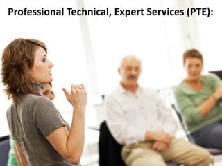Professional Technical, Expert Services (PTE):
 
