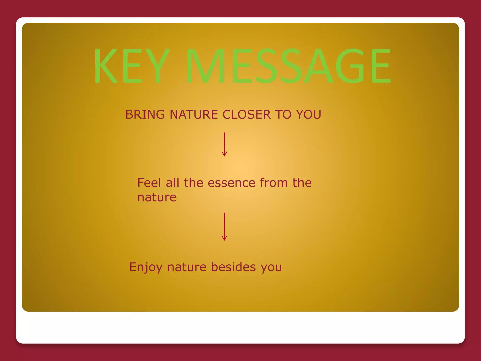 KEY MESSAGE
BRING NATURE CLOSER TO YOU
Feel all the essence from the
nature
Enjoy nature besides you
 