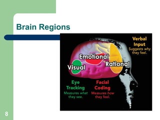 Brain Regions 