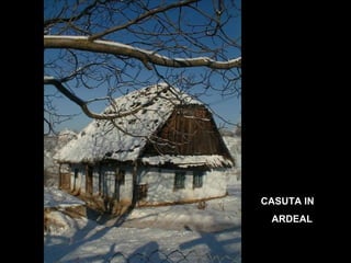 CASUTA IN ARDEAL 