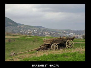 BARSANESTI -BACAU 