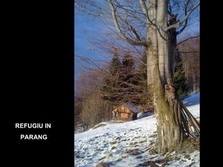 REFUGIU IN PARANG 