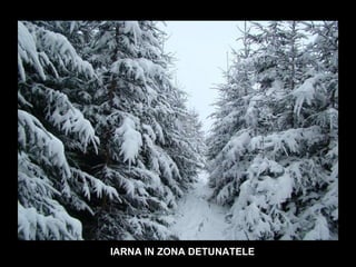 IARNA IN ZONA DETUNATELE 