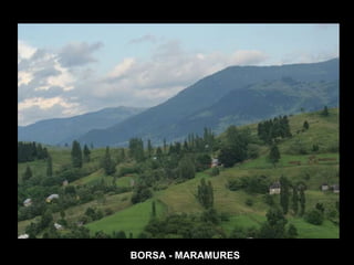 BORSA - MARAMURES 