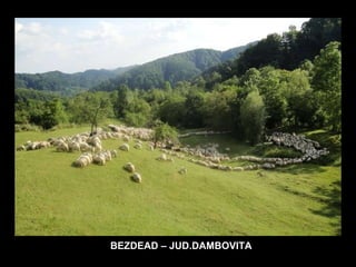 BEZDEAD – JUD.DAMBOVITA 