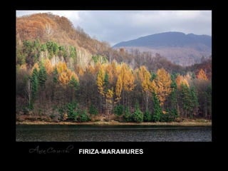 LACUL  FIRIZA-MARAMURES 