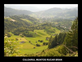 CULOARUL MUNTOS RUCAR BRAN 