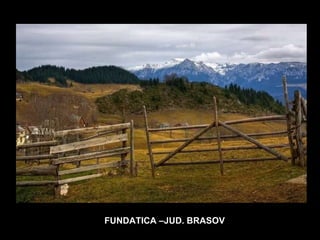 FUNDATICA –JUD. BRASOV 