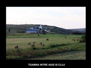 TOAMNA INTRE AIUD SI CLUJ 