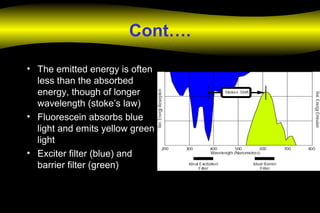 Cont….
• The emitted energy is often
less than the absorbed
energy, though of longer
wavelength (stoke’s law)
• Fluorescein absorbs blue
light and emits yellow green
light
• Exciter filter (blue) and
barrier filter (green)
 