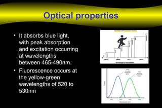 Optical properties
• It absorbs blue light,
with peak absorption
and excitation occurring
at wavelengths
between 465-490nm.
• Fluorescence occurs at
the yellow-green
wavelengths of 520 to
530nm
 