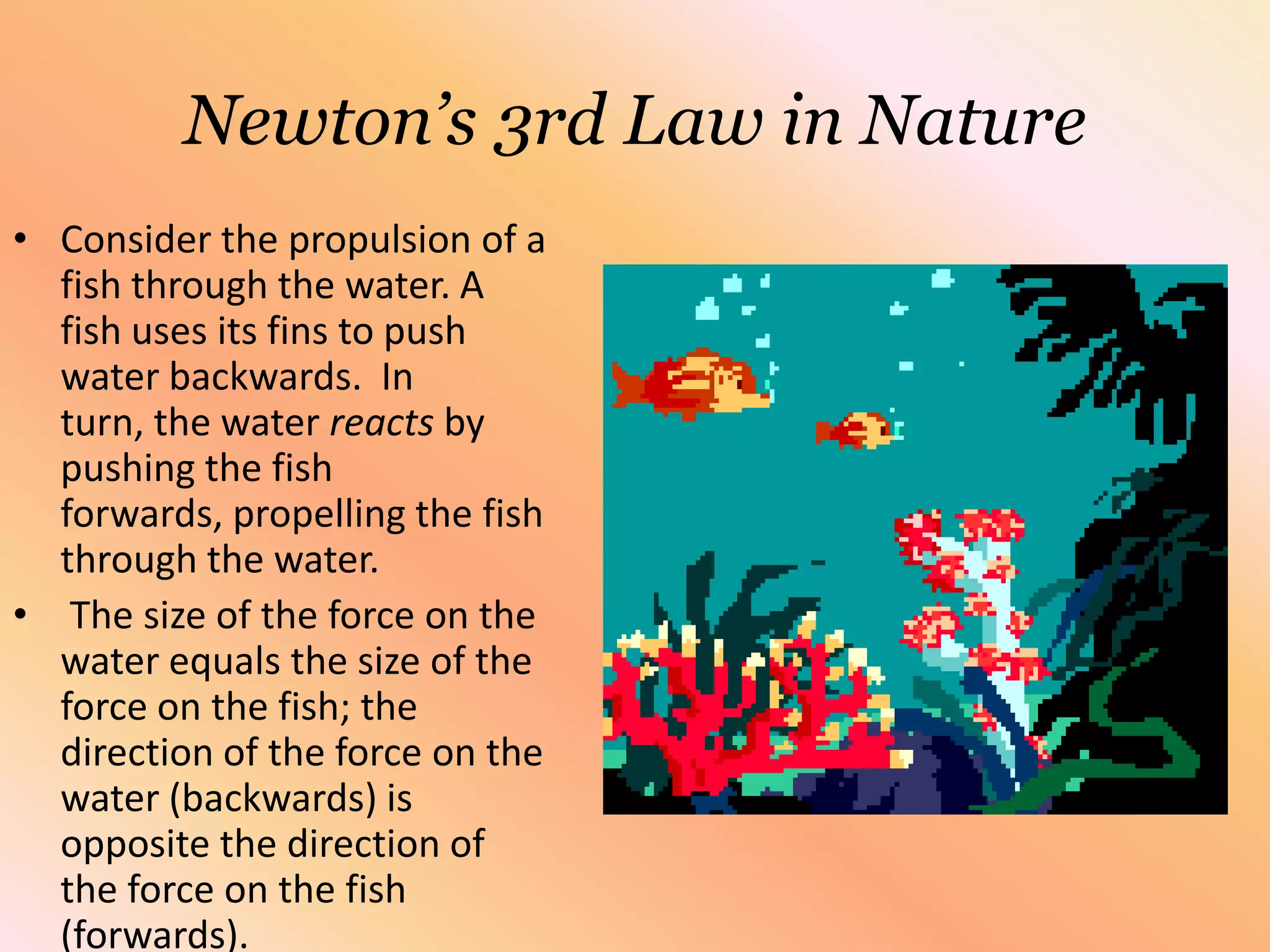 Newton’s 3rd Law in NatureConsider the propulsion of a fish through the water. A fish uses its fins to push water backwards.  In turn, the water reacts by pushing the fish forwards, propelling the fish through the water. The size of the force on the water equals the size of the force on the fish; the direction of the force on the water (backwards) is opposite the direction of the force on the fish (forwards).