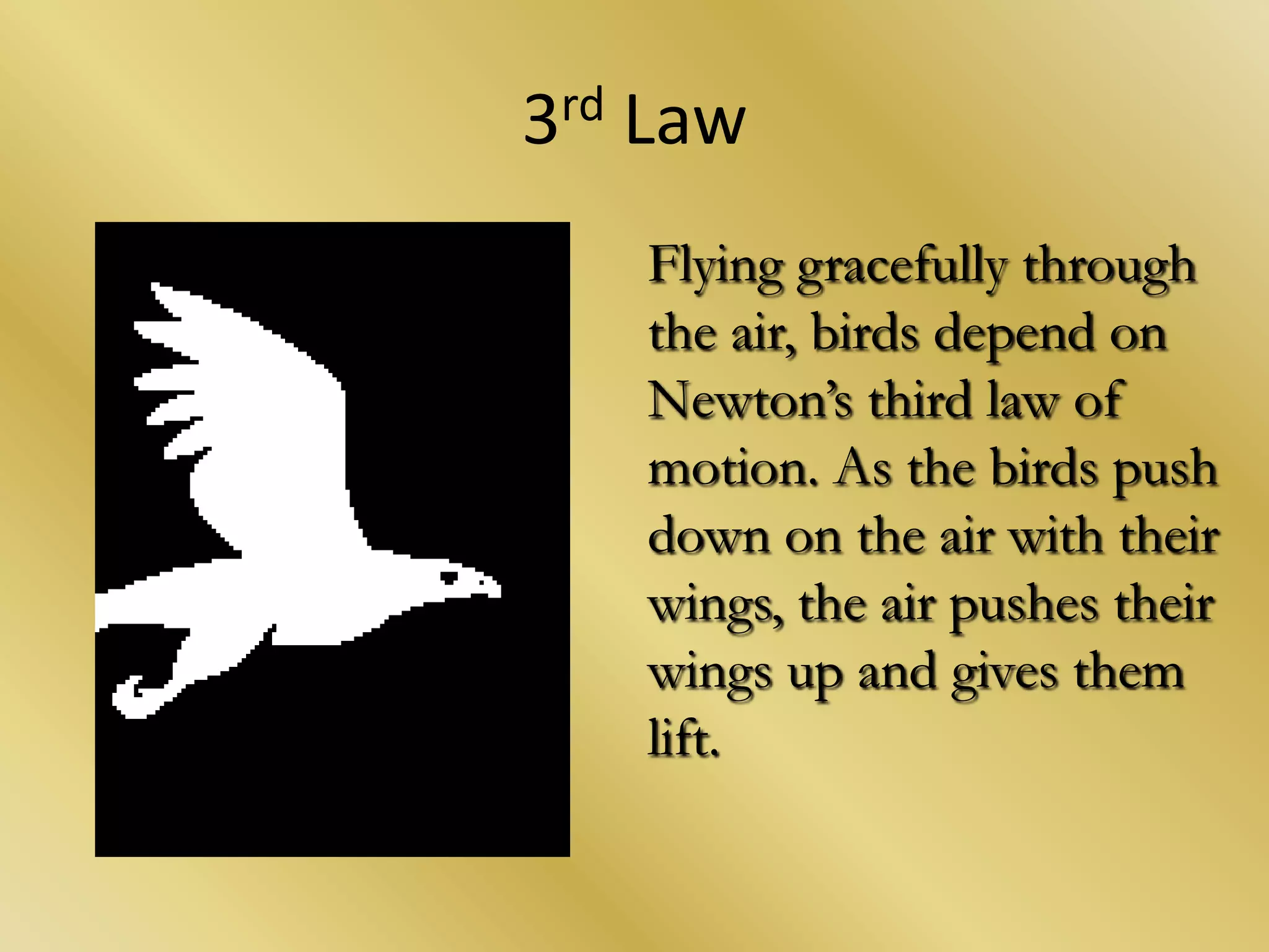 3rd LawFlying gracefully through the air, birds depend on Newton’s third law of motion. As the birds push down on the air with their wings, the air pushes their wings up and gives them lift.