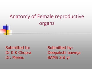 Anatomy of Female reproductive
organs
Submitted to:
Dr K K Chopra
Dr. Meenu
Submitted by:
Deepakshi baweja
BAMS 3rd yr
 