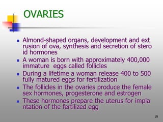 19
OVARIES
 Almond-shaped organs, development and ext
rusion of ova, synthesis and secretion of stero
id hormones
 A wom...