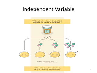 Independent Variable
3
 