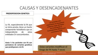 CAUSAS Y DESENCADENANTES
ATRIAL FIBRILLATION: AN APPROACH TO DIAGNOSIS AND MANAGEMENT IN THE
EMERGENCY DEPARTMENT 2021
PREDISPOSICION GENETICA
La FA, especialmente la FA que
se inicia pronto, tiene un fuerte
componente hereditario que es
independiente de otras
entidades CV concomitantes.
Hasta ⅓ los pacientes con FA son
portadores de variantes genéticas
que predisponen a la FA
Las variantes más
importantes se encuentran
próximas al gen del factor
de transcripción 2
homeodominio (Pitx2) en el
cromosoma 4q25
Estas variantes modifican el
riesgo de FA hasta 7 veces
 