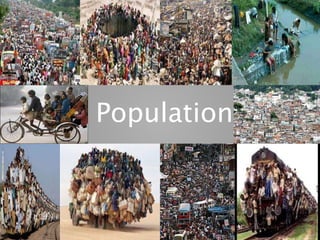 Population
 