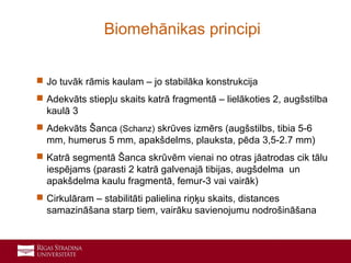 11
 Jo tuvāk rāmis kaulam – jo stabilāka konstrukcija
 Adekvāts stiepļu skaits katrā fragmentā – lielākoties 2, augšstilba
kaulā 3
 Adekvāts Šanca (Schanz) skrūves izmērs (augšstilbs, tibia 5-6
mm, humerus 5 mm, apakšdelms, plauksta, pēda 3,5-2.7 mm)
 Katrā segmentā Šanca skrūvēm vienai no otras jāatrodas cik tālu
iespējams (parasti 2 katrā galvenajā tibijas, augšdelma un
apakšdelma kaulu fragmentā, femur-3 vai vairāk)
 Cirkulāram – stabilitāti palielina riņķu skaits, distances
samazināšana starp tiem, vairāku savienojumu nodrošināšana
Biomehānikas principi
 
